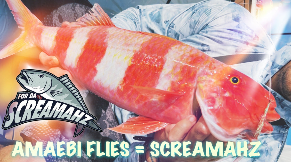 Amaebi Flies = Screamahz! For Da Screamahz Flies Hawaii Shallow Bottom Venture Wetsuits