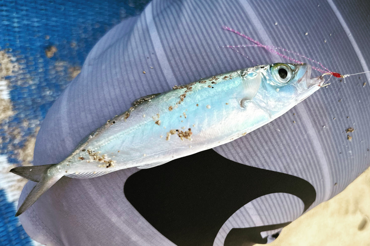 akule net fishing Halalu/Akule Flies 5PK