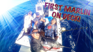5 MIN STRIKE! First Marlin on deck! 226lbs!