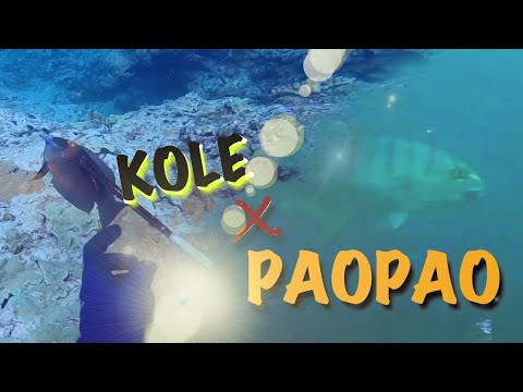 Kole x PaoPao Mish! 2 Months Dry & Rusty! Hawaii Spearfishing