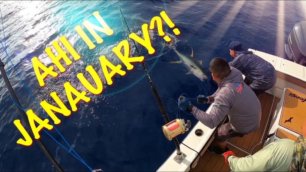 Catching Ahi in January! Bring in the New Year with a BANG!