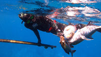 Ko'a Wetsuit (Mens) **PRE-ORDER**